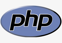 在实际开发中，如何选择合适的PHP框架？